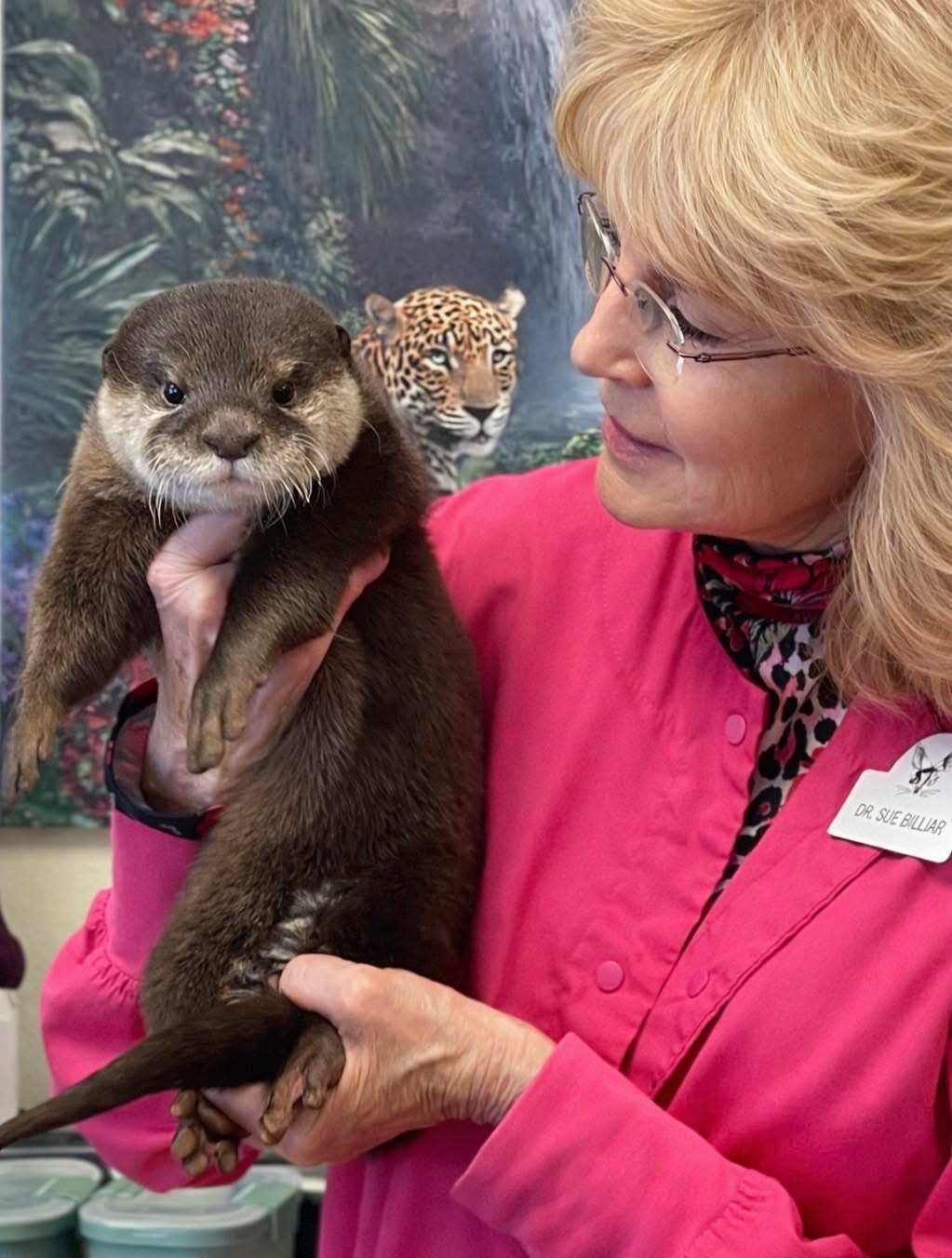 Dr. Billiar and otter