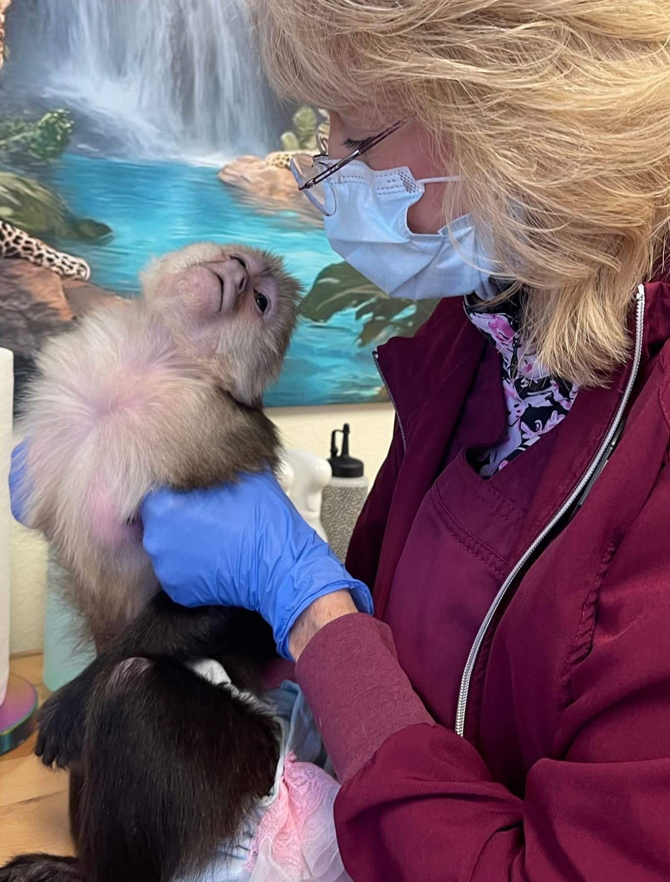 Dr. Billiar and monkey5