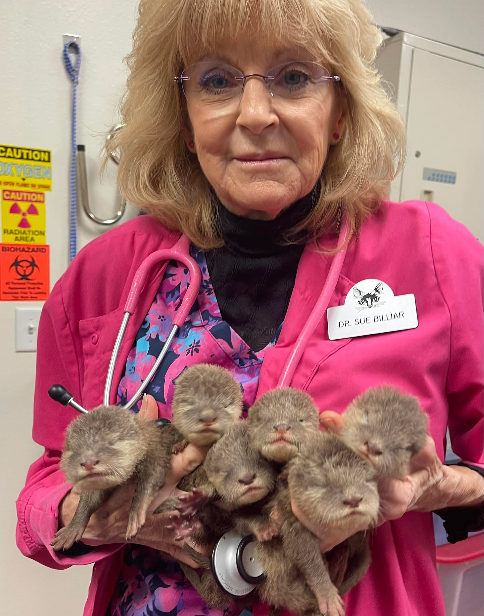 Dr. Billiar and otters