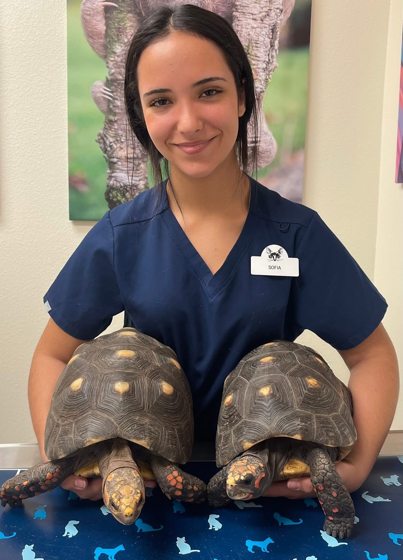 Dr. Billiar and turtles