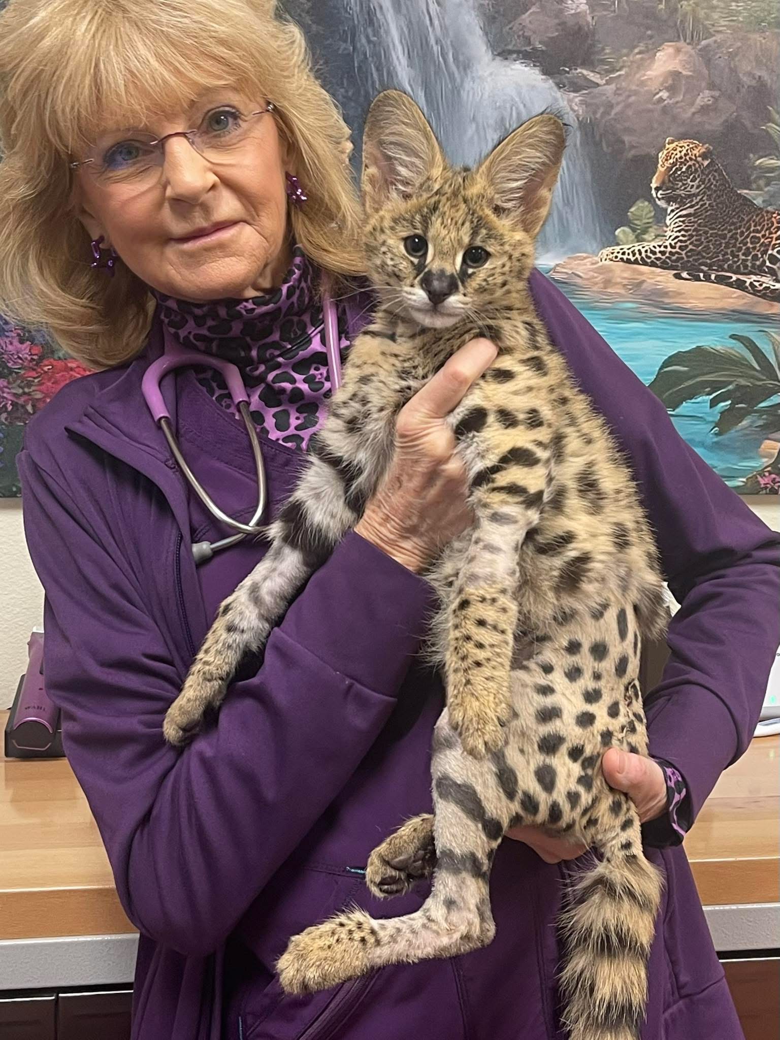 Dr. Billiar and Cat3