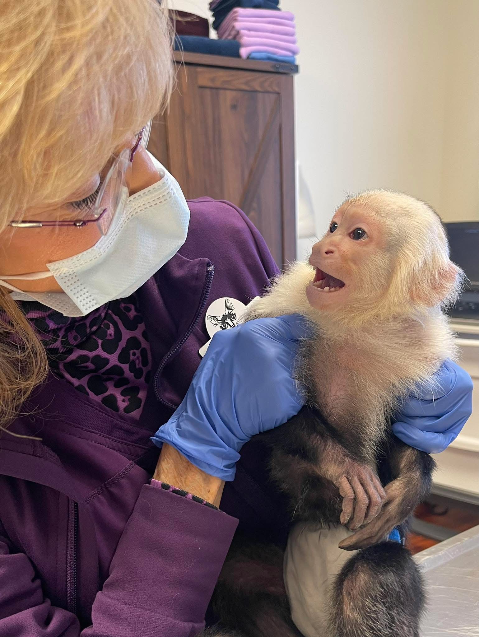 Dr. Billiar and monkey2