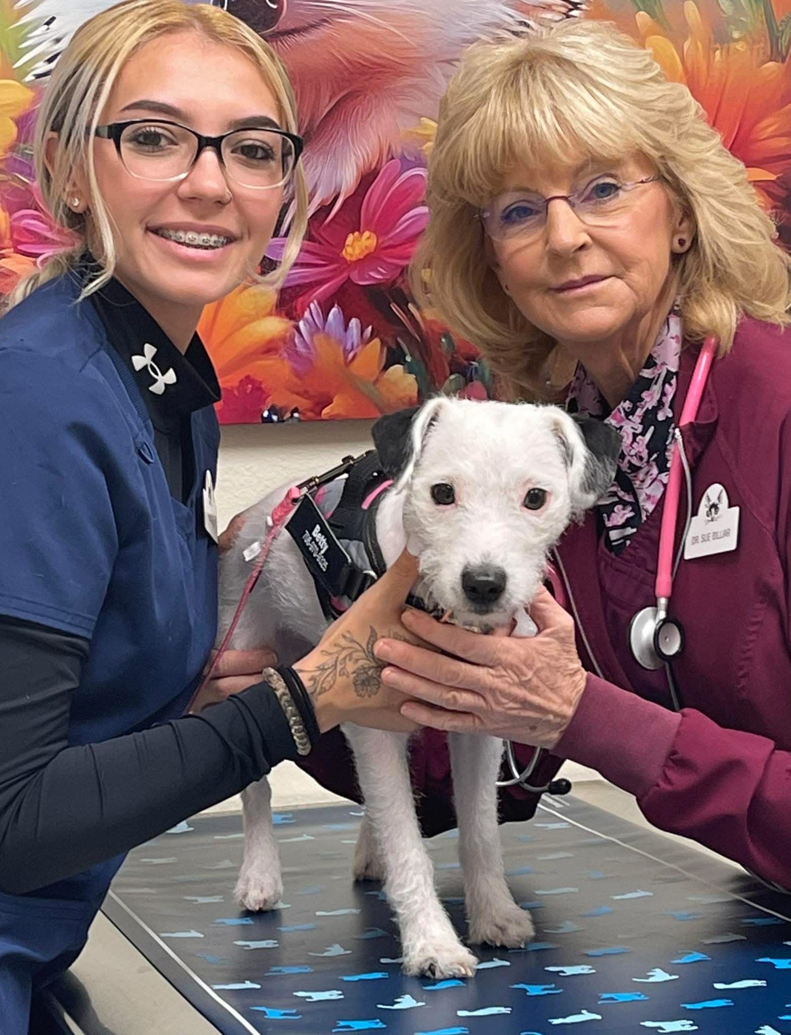 Billiar staff and dog