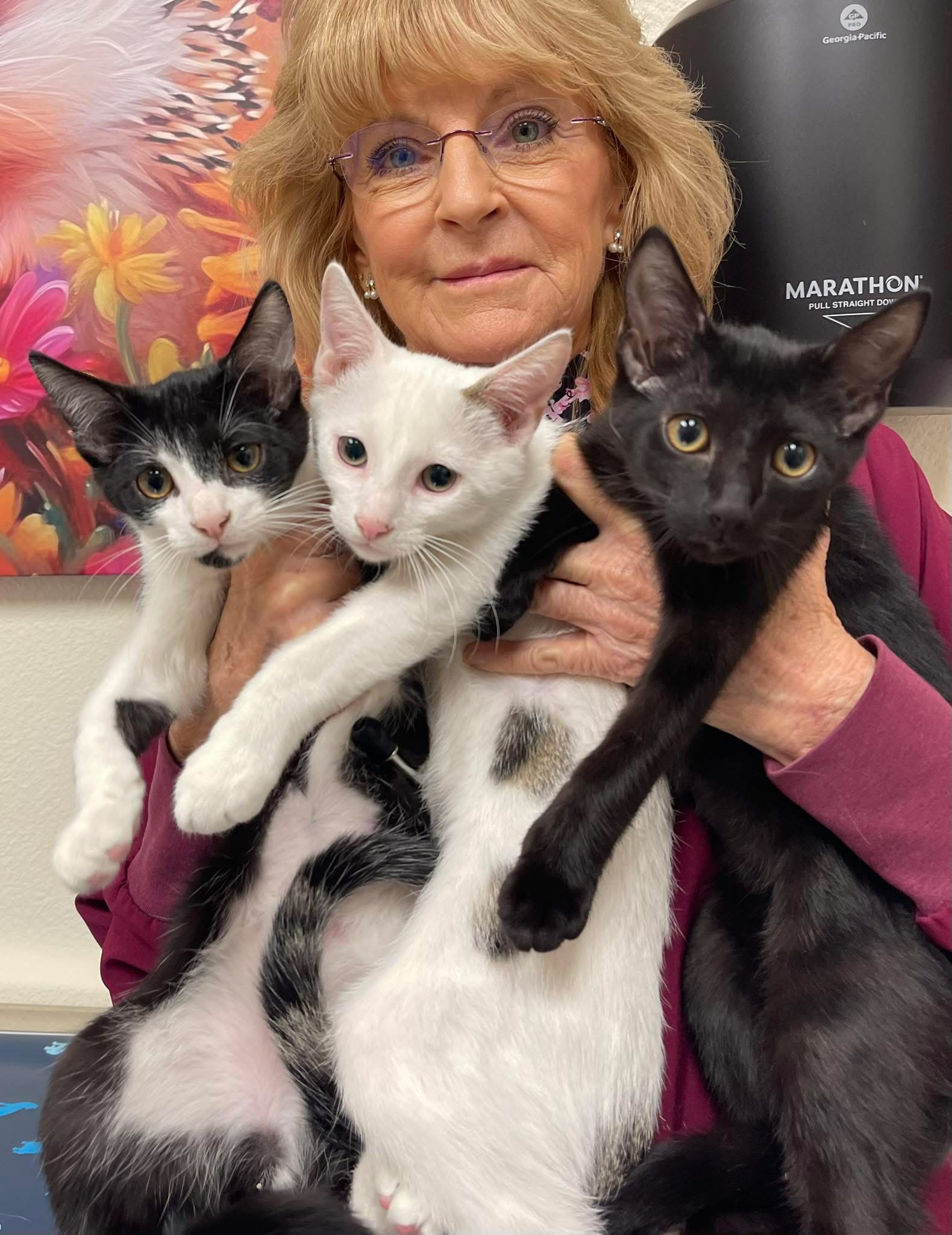 Dr. Billiar and Cats