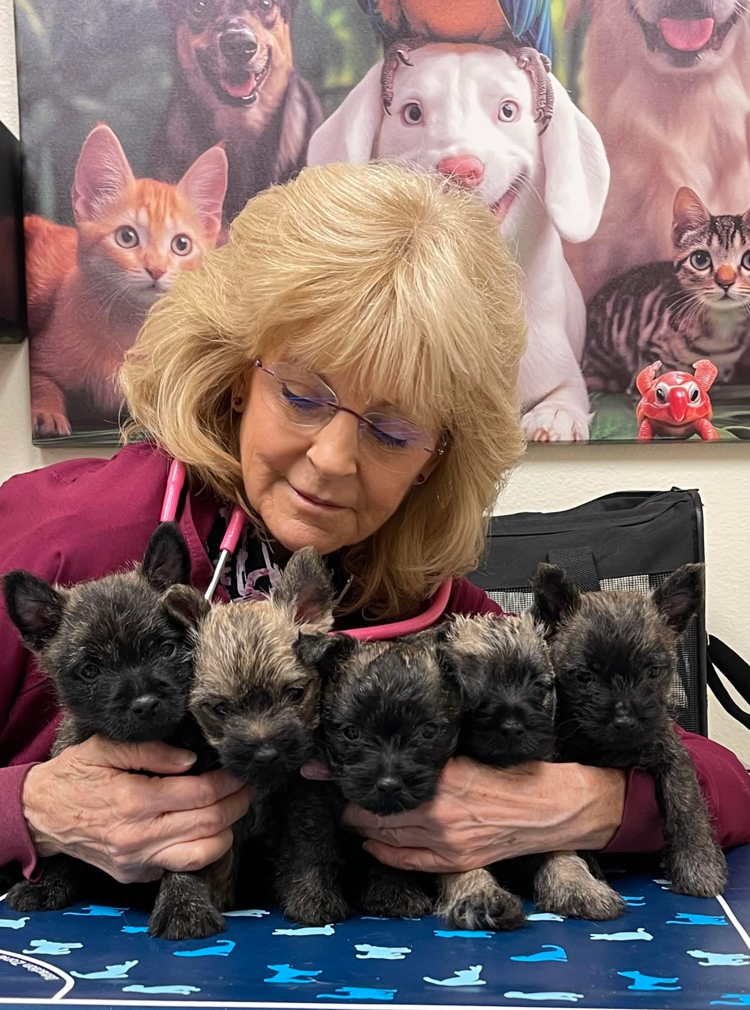 Dr. Billiar and puppies2