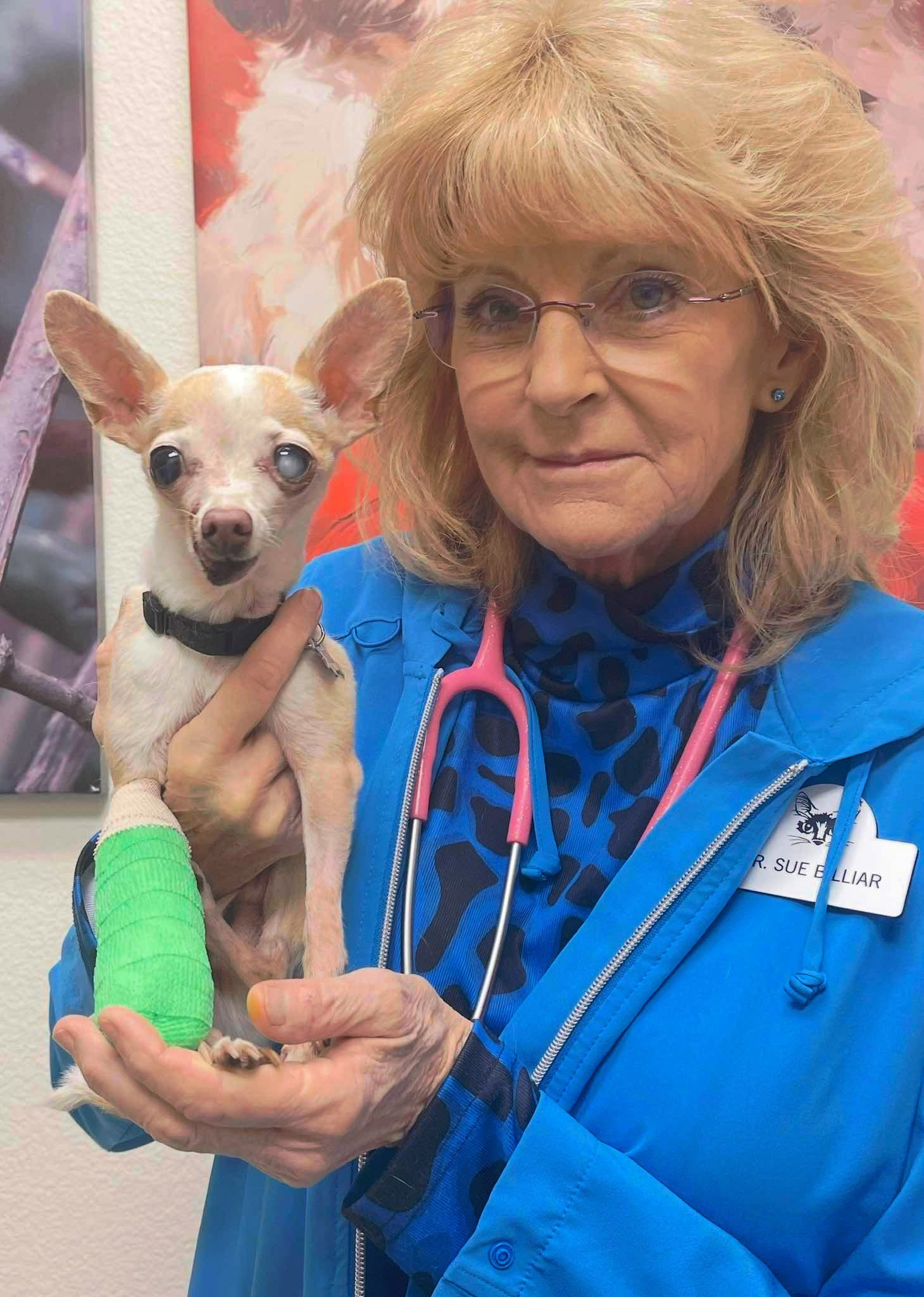 Dr. Billiar and old dog