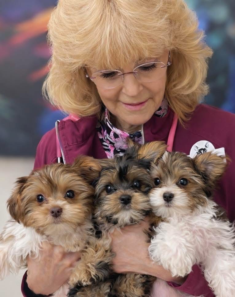 Dr. Billiar and puppies