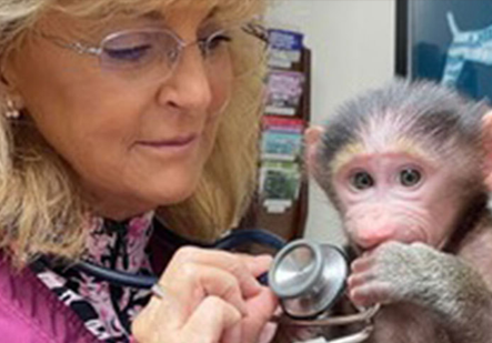 Dr. Billiar with monkey