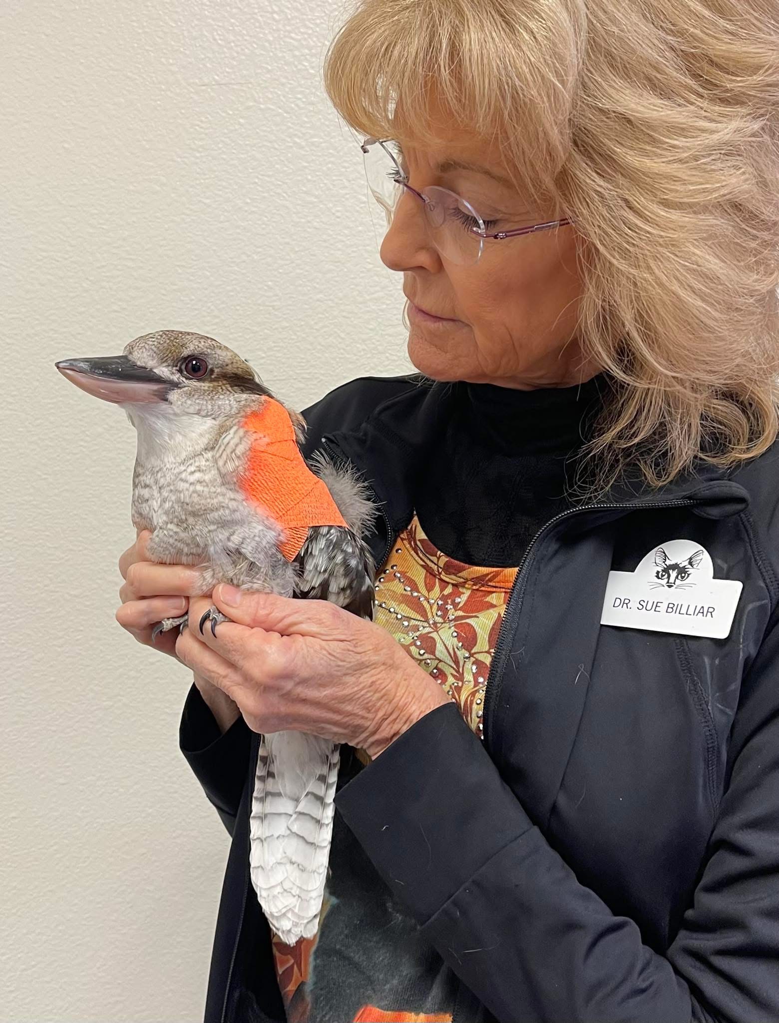 Dr. Billiar and bird