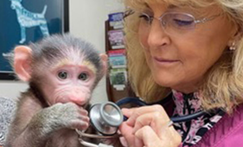 Dr. B and monkey