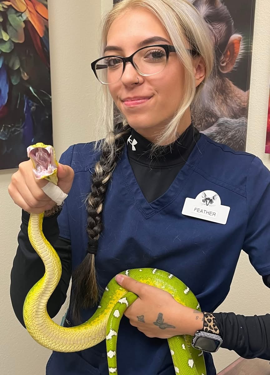 Staff and snake