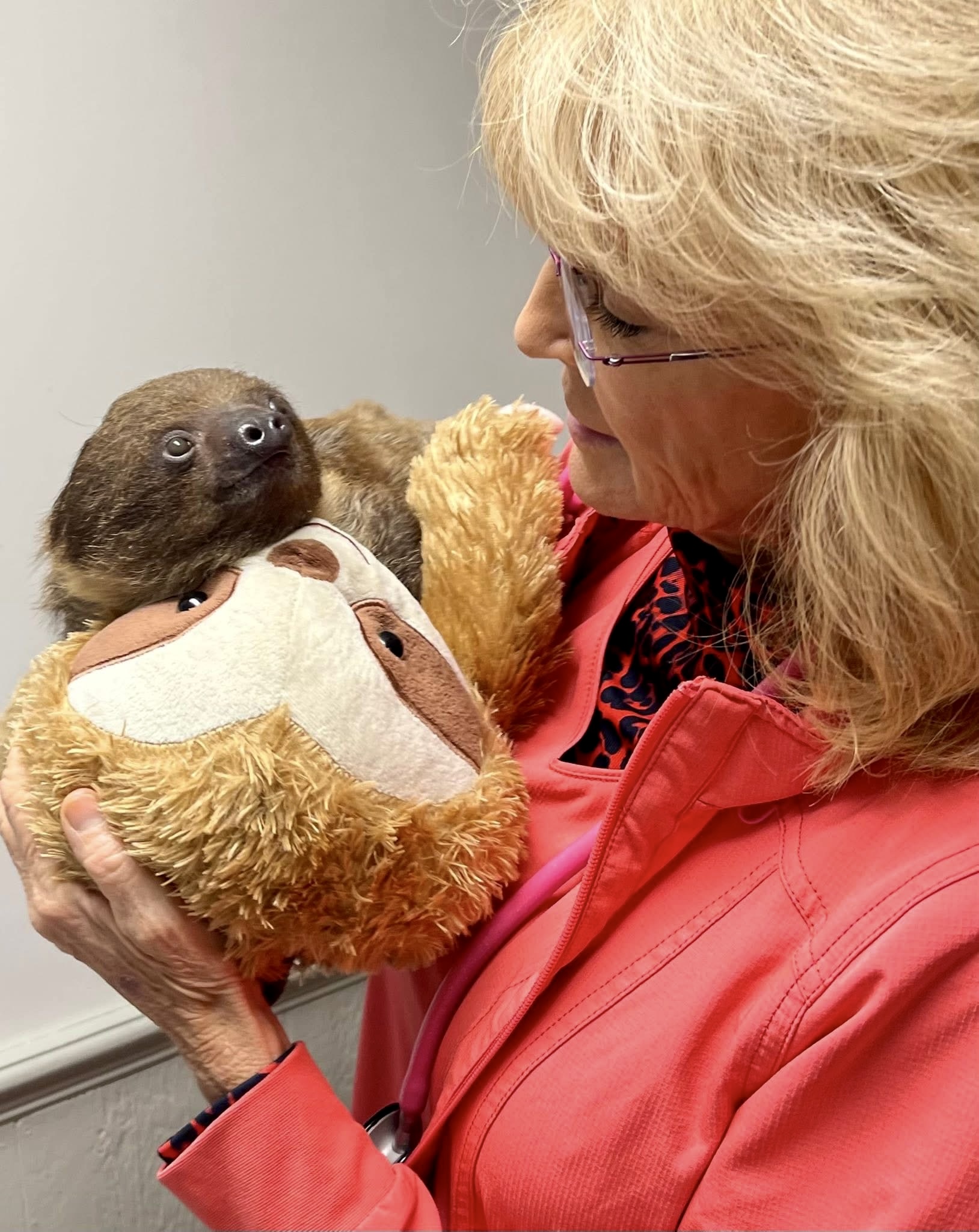 Dr. Billiar and sloth