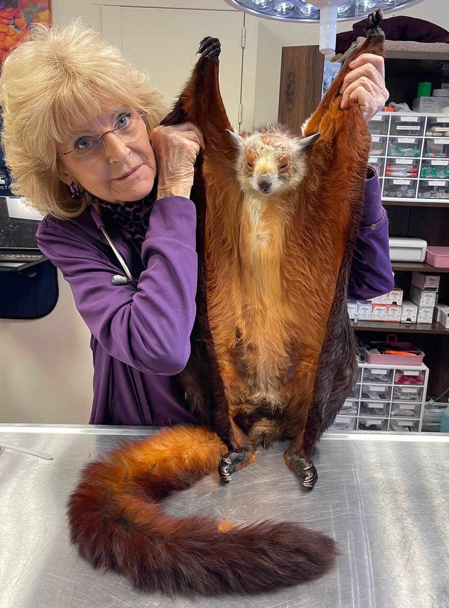 Dr. Billiar and patient10