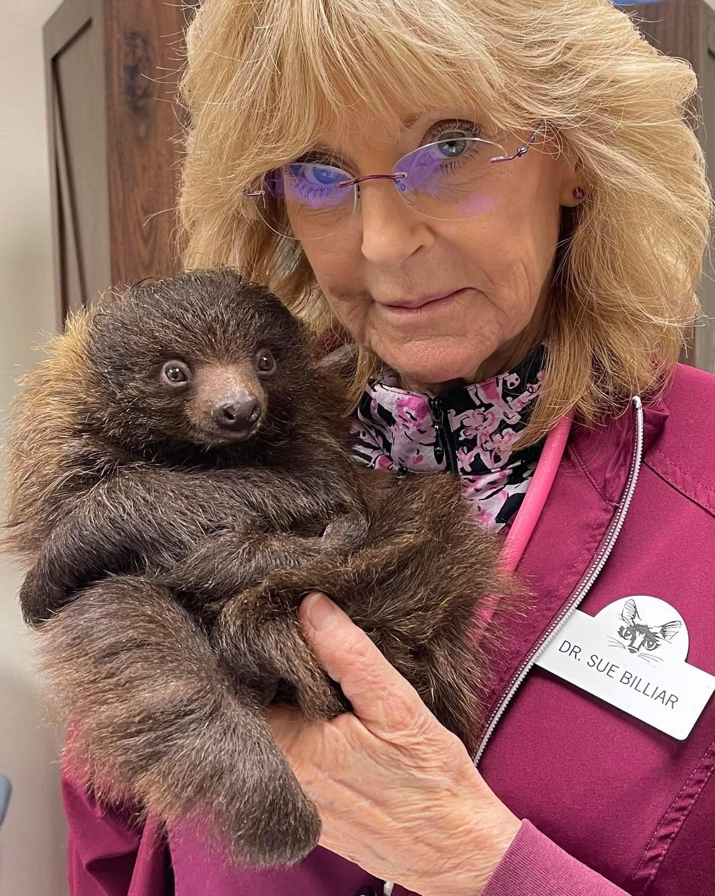 Dr. Billiar and patient11