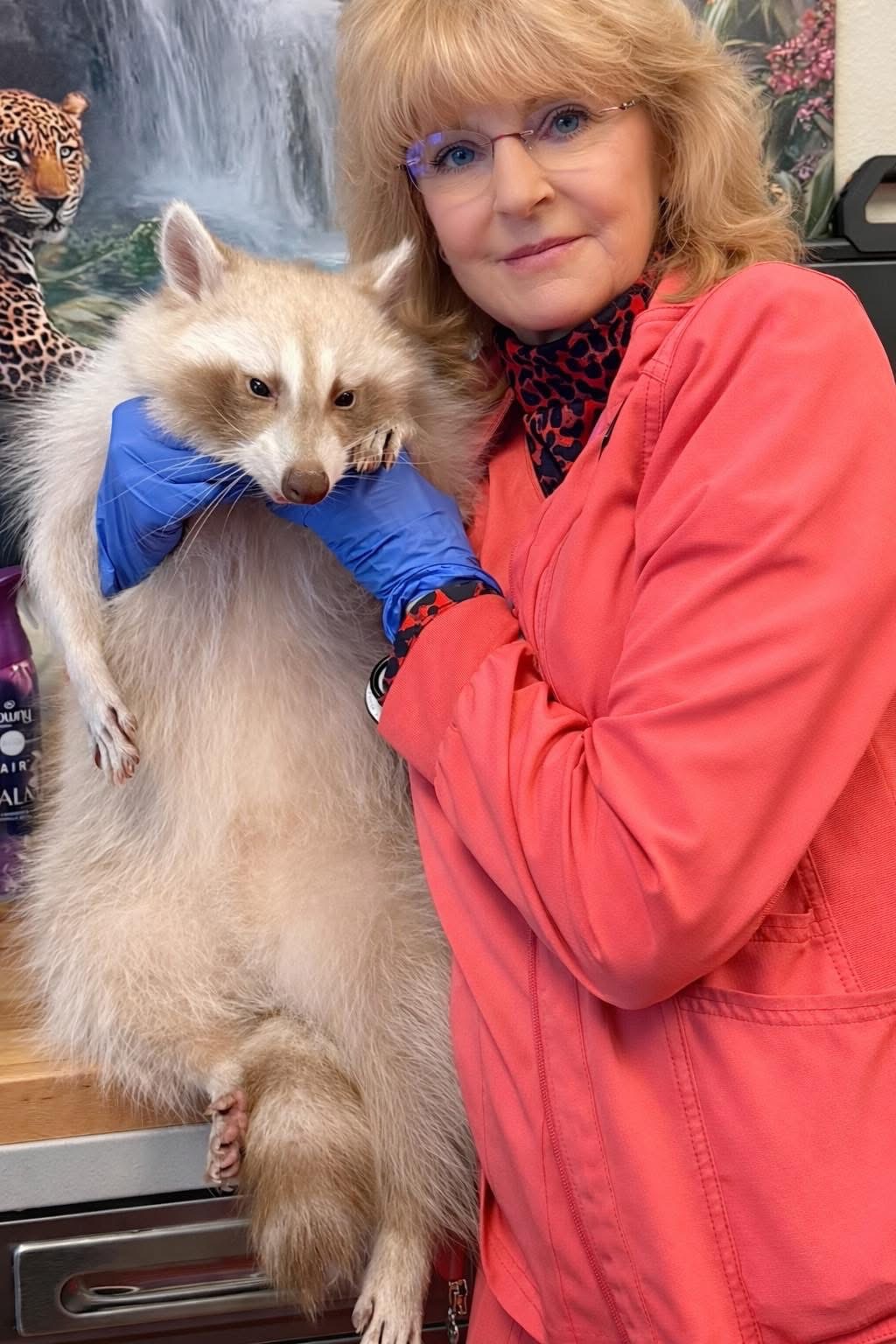 Dr. Billiar and raccoon