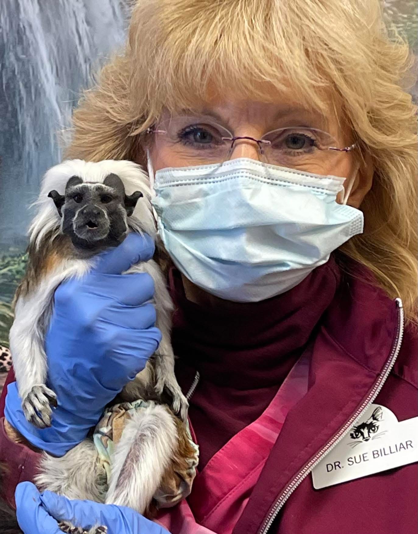 Dr. Billiar and monkey6
