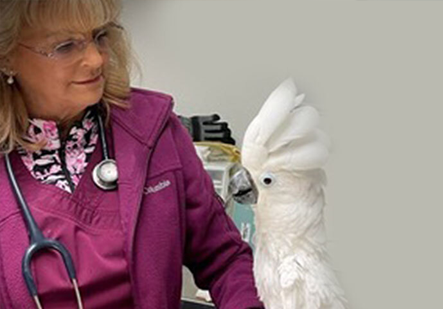 Dr. Billiar with Cockatoo