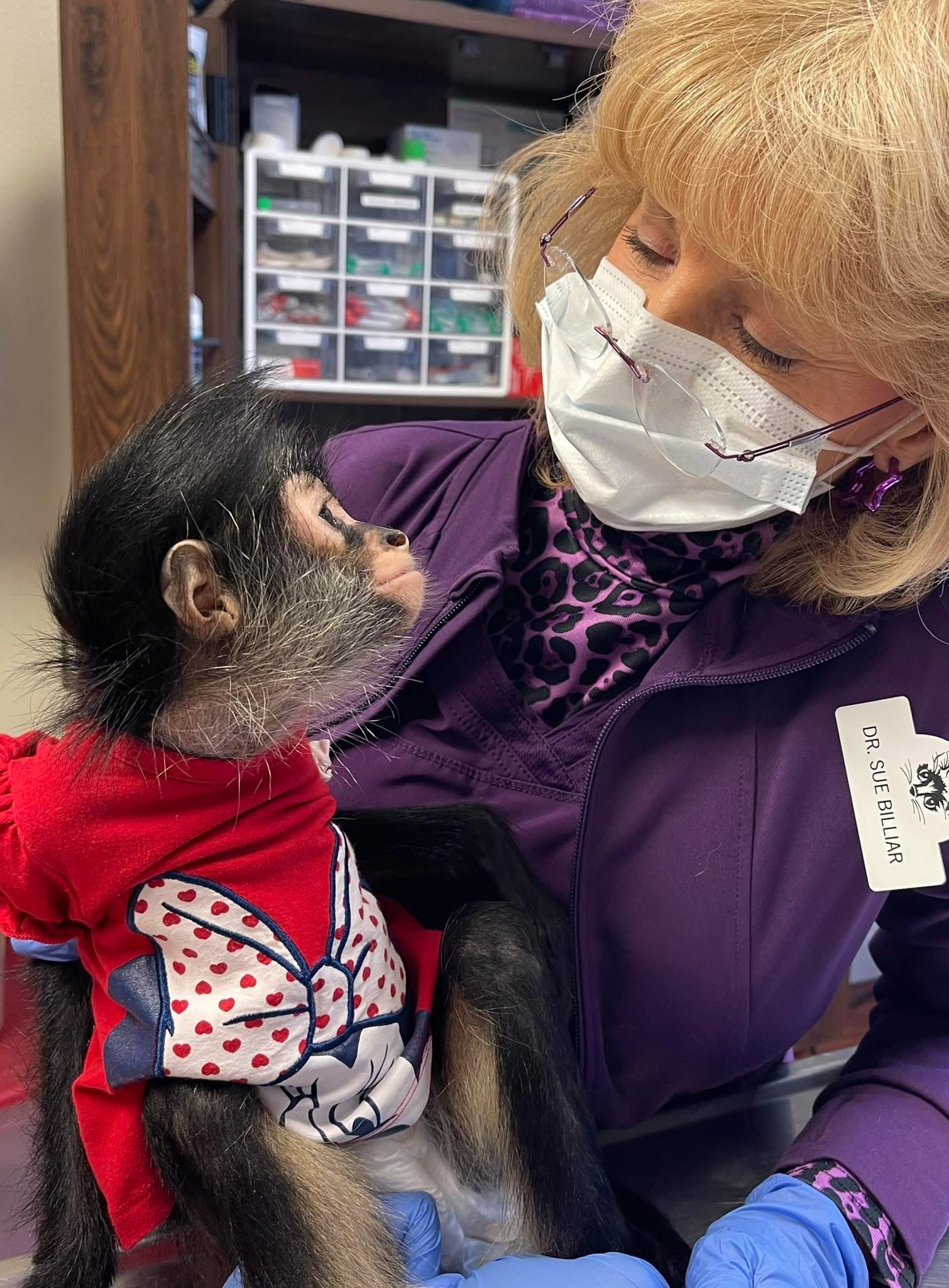 Dr. Billiar and monkey6