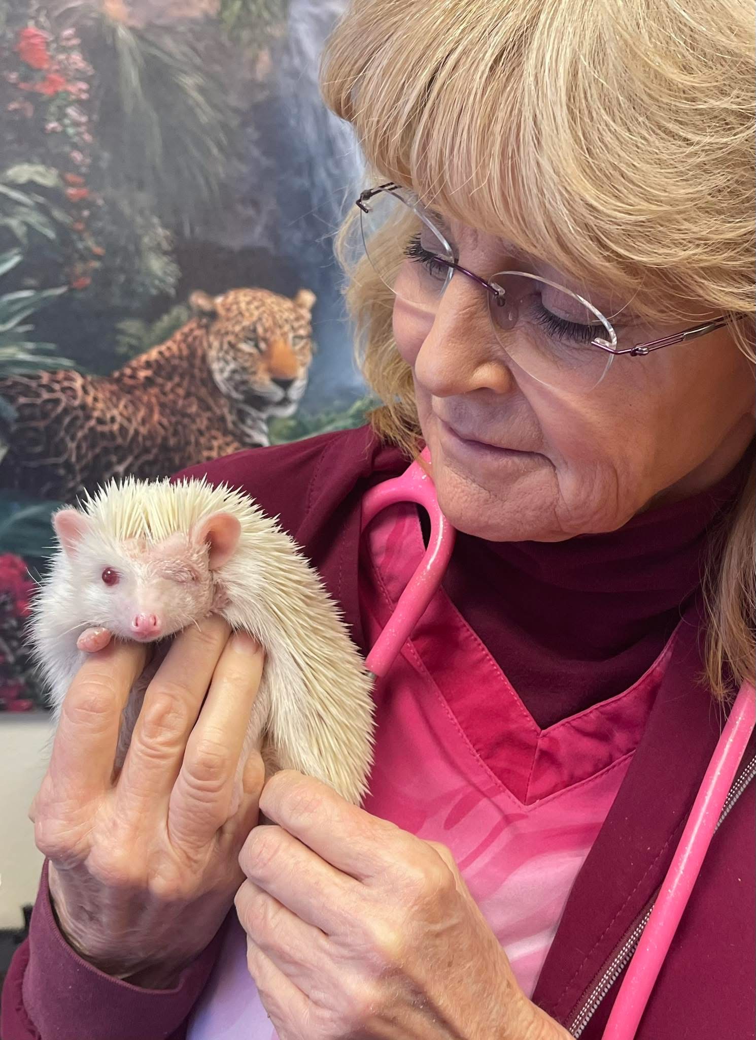 Dr. Billiar and hedge pig