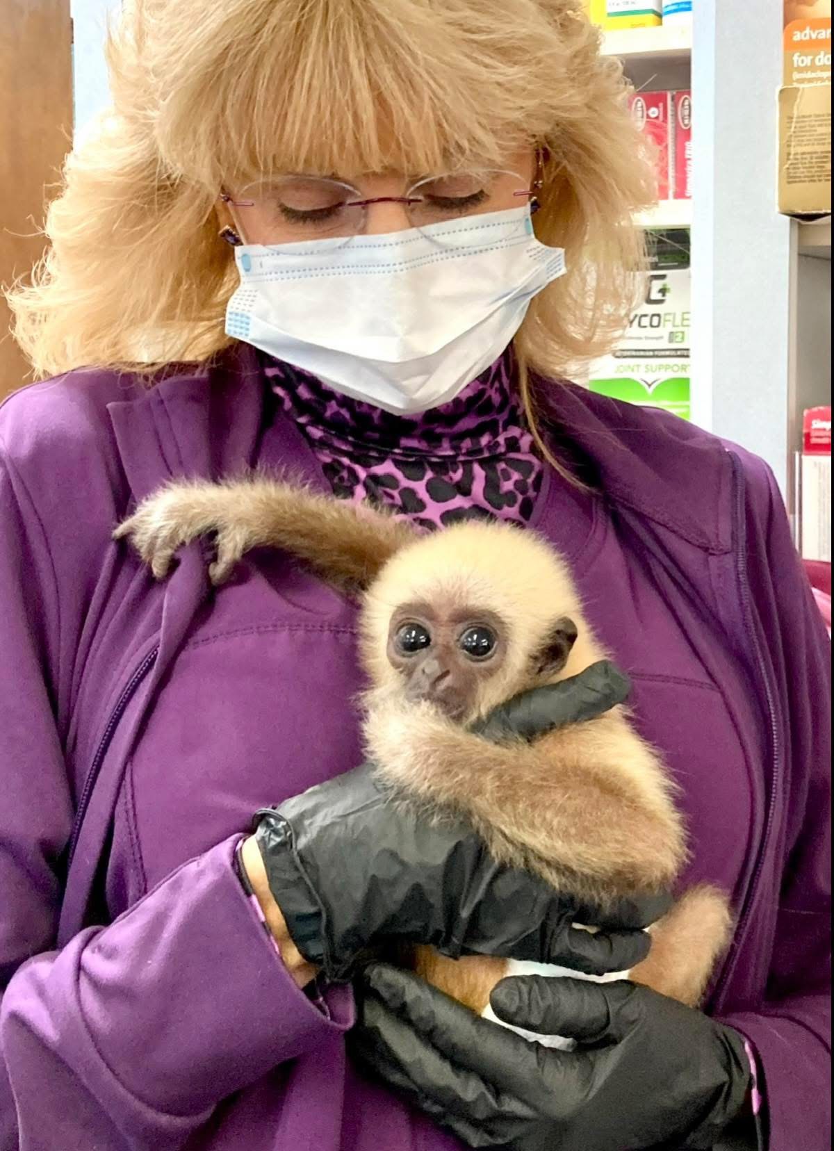 Dr. Billiar and monkey8