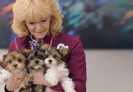 Dr. Billiar & Three Puppies