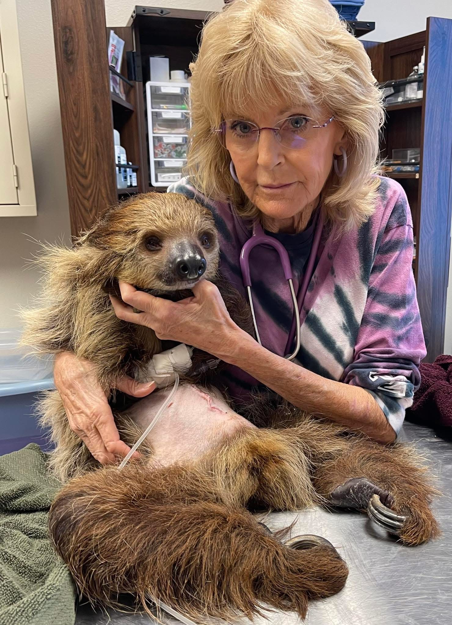 Dr. Billiar and Sloth